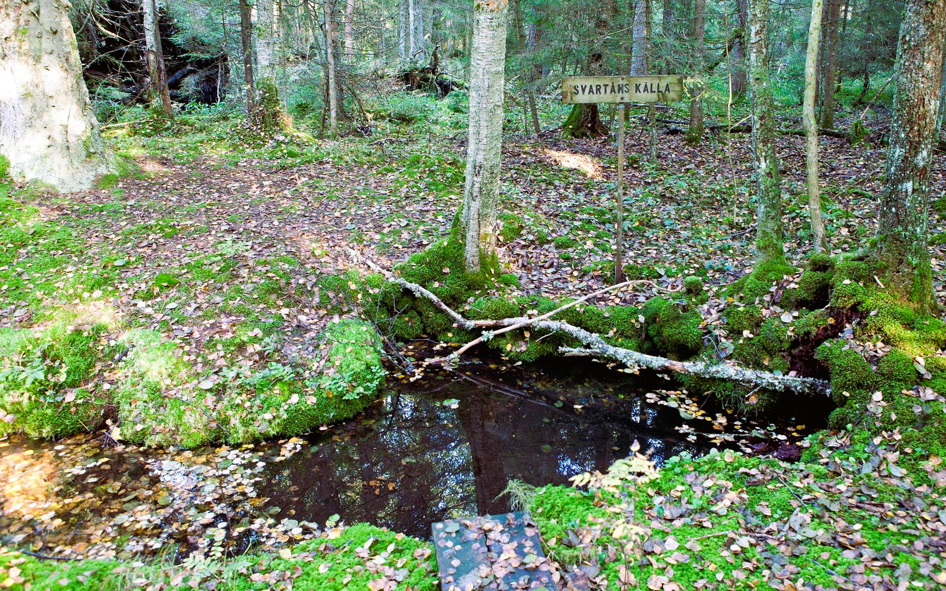 Nässjö